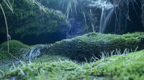 Time Lapse - Rural Stream 스톡 동영상 56114838