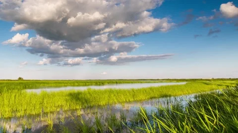 Time lapse. Russia. Clouds above the river Don with reeds. Stock Footage 52436217