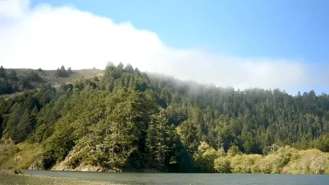 Time Lapse Russian River Sonoma Stock Footage 107329492