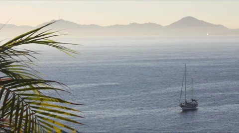 Time lapse of sailboat and palm tree leaves Stock Footage 1086265