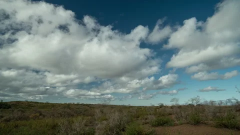 Time-lapse sandy or steppe terrain with growing green bushes against the Video stock 253305916
