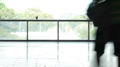 Time-lapse scene of commuters rushing for transport Stock Footage 49759971