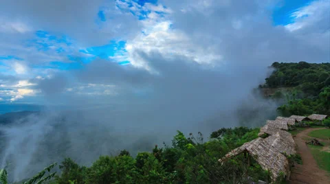 Time-lapse scene of moving cloud over tropical forest Stock Footage 39069399