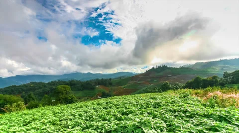 Time-lapse scene of moving cloud over tropical forest Stock Footage 39069831
