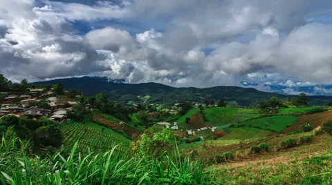 Time-lapse scene of moving cloud over tropical forest Stock Footage 39070638