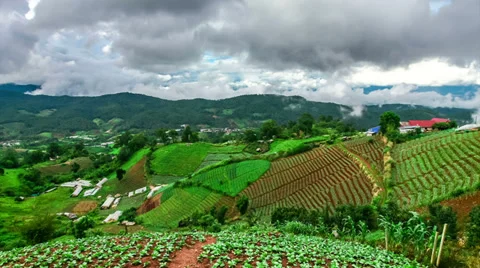 Time-lapse scene of moving cloud over tropical forest Stock Footage 39071181