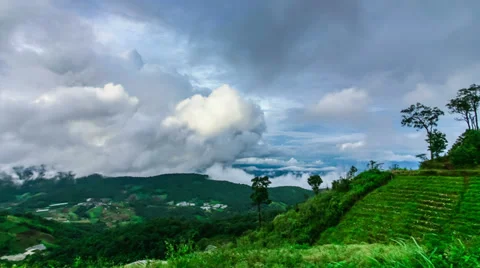 Time-lapse scene of moving cloud over tropical forest Stock Footage 39071458