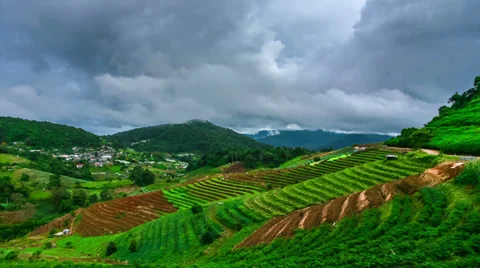 Time-lapse scene of moving cloud over tropical forest Stock Footage 39071740