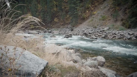 Time Lapse of Scenic Mountain River and Foliage Stock Footage 90870211