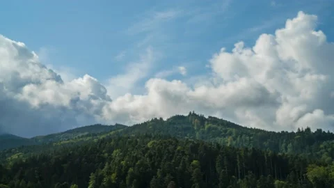 Time Lapse Schwarzwald Clouds Forest Mountains Panorama 8K Stock Footage 176863280