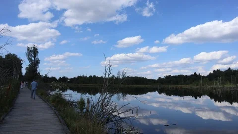 Time lapse of The Schwenninger Moos Video stock 113698816