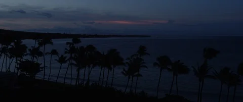 Time-lapse of sea waves and palm trees on a breezy evening during sunset Stock Footage 97121405
