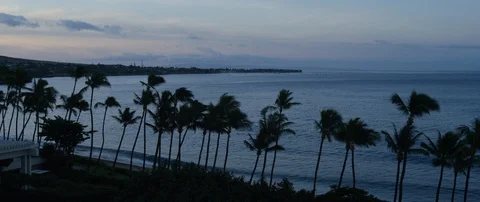 Time-lapse of sea waves and palm trees on the breezy beach at sunset Stock Footage 97122128