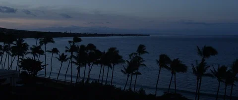 Time-lapse of sea waves and palm trees on the breezy beach at sunset Stock Footage 97122355
