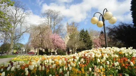 Time lapse by selby abbey at springtime north yorkshire Stock Footage 40525507