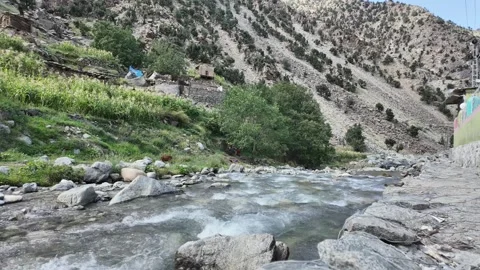Time-Lapse Serenity Flowing River Through Rocky Showers, Grazing Cows, Lush  Stock Footage 288468594