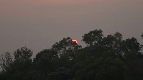 Time-lapse of the setting sun slowly disappearing behind a forest canopy 動画素材 341483010