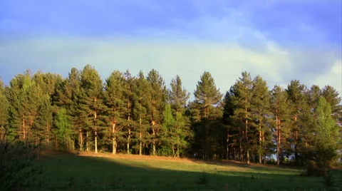 Time lapse of shadow  스톡 동영상 1442689