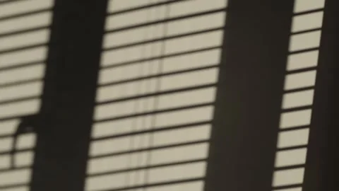 Time lapse. Shadow of a venetian blind moving over a plain grey wall Stock Footage 173476233