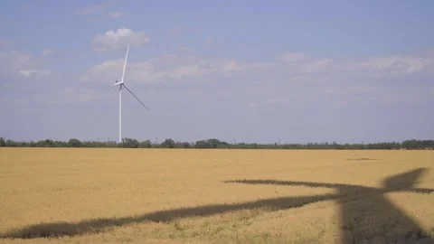 Time lapse. The shadow of  windmill in the foreground in a wheat field Stock Footage 312069658