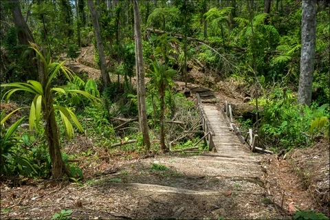 Time lapse of shadows in forest interior Stockbeeldmateriaal 91162193