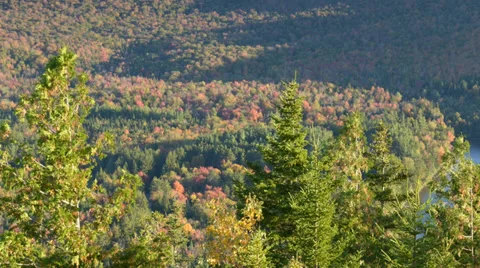 TIME LAPSE Shadows moving across forest valley Stock Footage 33464621