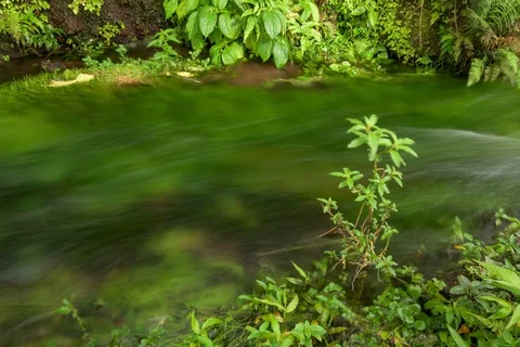 Time lapse of shallow mountain stream Stockbeeldmateriaal 91157582