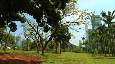 Time lapse of Shenzhen city Vidéo 167986486