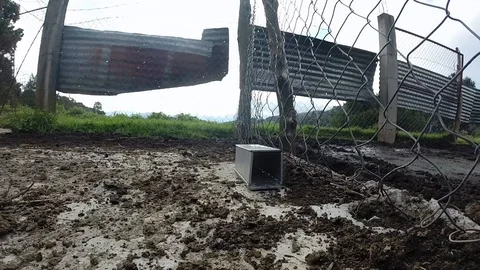 Time lapse of Sherman trap set up for catching live rodents Stock-Footage 119423099