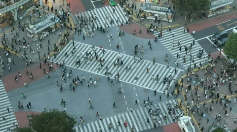 Time lapse Shibuya cross-walk Stock Footage