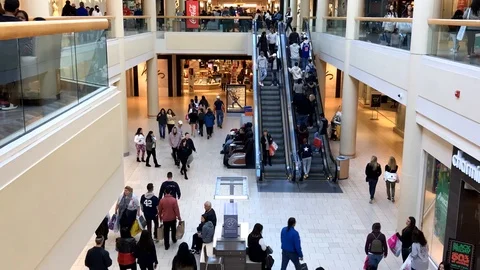 Time lapse of shoppers on Black Friday Stock Footage 98762948