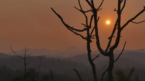 Time lapse shot of beautiful sunset, sun setting behind the mountain 스톡 동영상 121860306