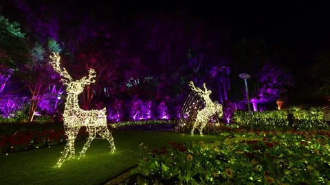 Time-lapse shot capturing the enchanted garden at Roma Street Parkland Stock Footage 296157146