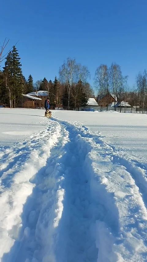 Time-lapse shot of a dog running towards a man Stock Footage 148482845