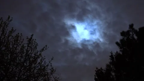 Time-lapse shot of full moon through trees Stock Footage 234027972