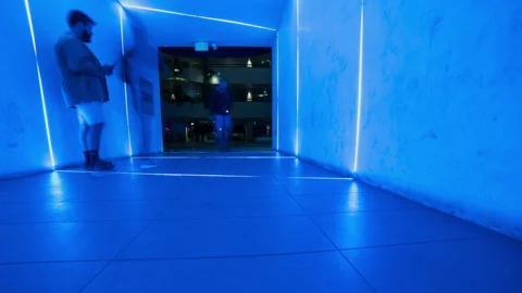 Time Lapse Shot Of Men And Women Walking In Illuminated Tunnel In City At Night Stock Footage 219442818
