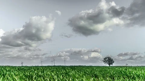 Time lapse shot of nature Video stock 87803767