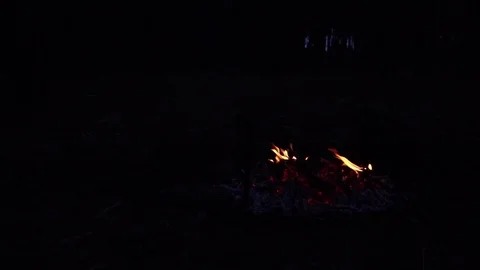 Time lapse shot on orange fire flames burning on wild forest bonfire on dark Stock Footage 102389685
