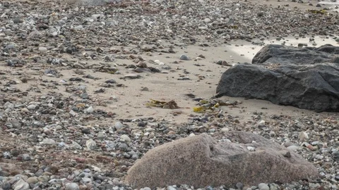 Time lapse shot on a stony beach with a cliff on the horizon Stock Footage 95919234
