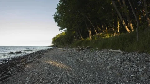 Time-lapse shot of sun-drenched beams from the beach to the forest Stock Footage 95915420