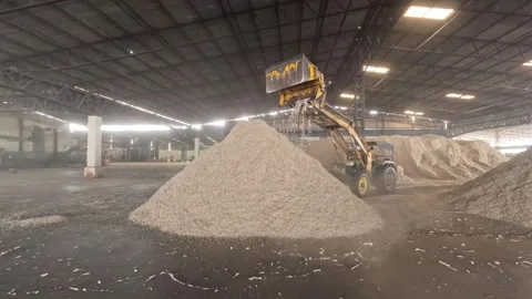 Time lapse shot of two JCB loading and unloading Heap of cotton seed. Stock Footage 313913426