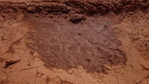 Time lapse shot of wet soil ground drying outdoors during sunlight after Stock Footage 200960414