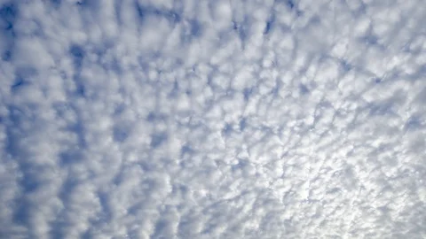Time lapse shot of white altocumulus clouds passing overhead. Видео 107568395