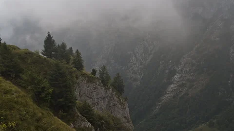 Time lapse showing clouds moving up through pine trees on a rocky mountain slope Stock Footage 252620171