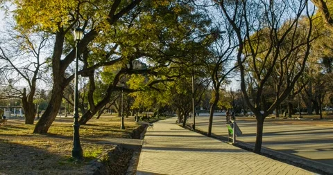 Time lapse showing a street surrounded by trees during a golden sunset Stock Footage 137803631