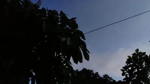 A time lapse showing the time from evening to night Stock Footage 305168359