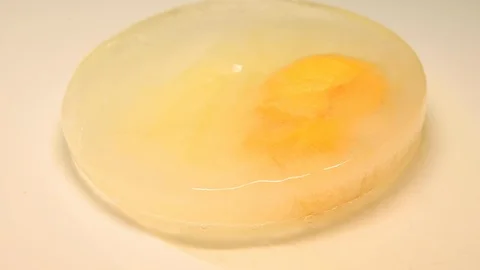 Time-lapse that shows how ice cubes melt wit an egg Stock Footage 115090231