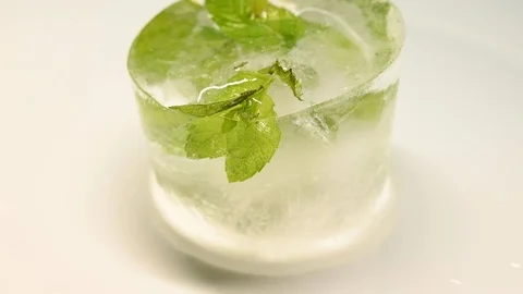Time-lapse that shows how ice cubes melt with a plant inside Stock Footage 115094931