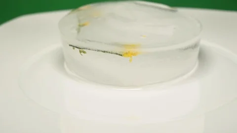 Time-lapse that shows how ice cubes melt with a flower inside Stock Footage 115095990