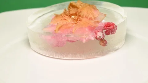 Time-lapse that shows how ice cubes melt with a leaf Video stock 115096711